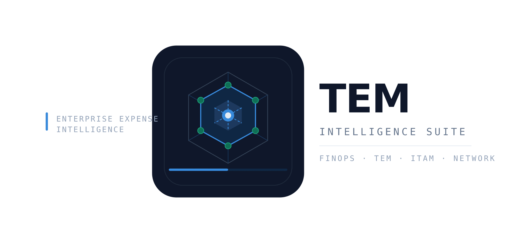 Enterprise TEM Platform